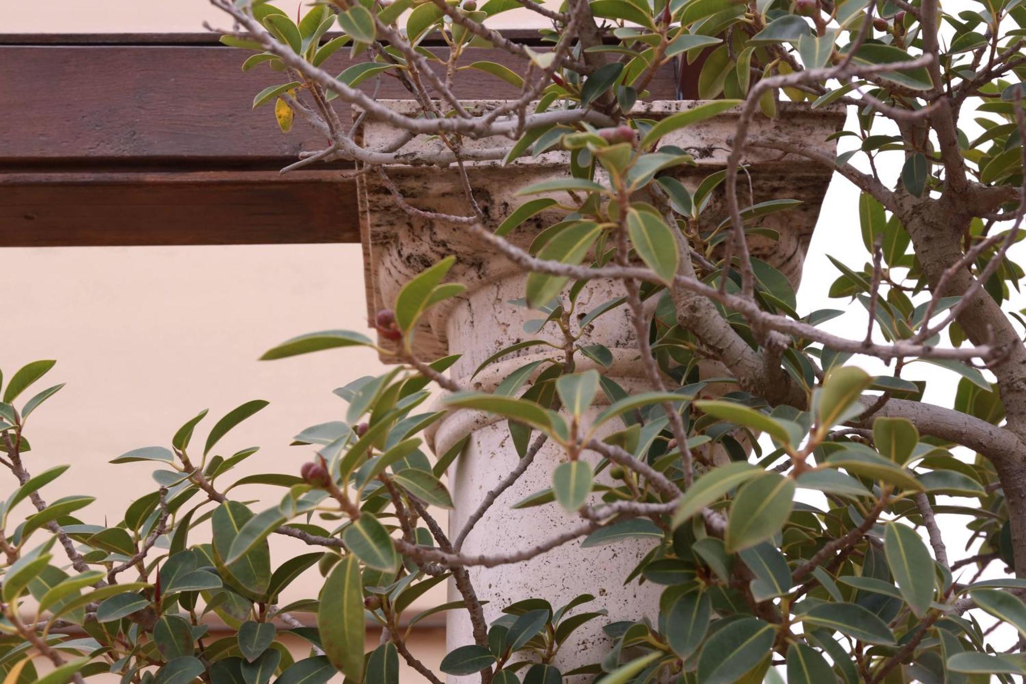 Casa Romana Hotel Boutique Seville Exterior photo